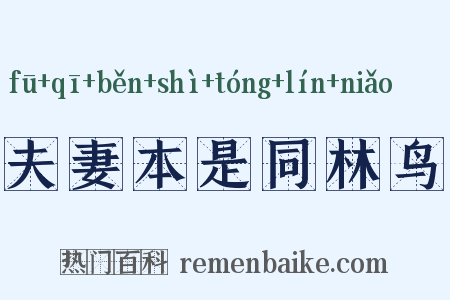 夫妻本是同林鸟是什么意思的图片